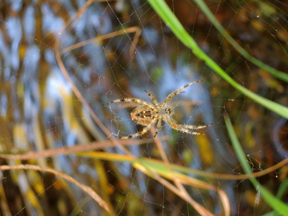 Photograph by Екатерина Крючкова