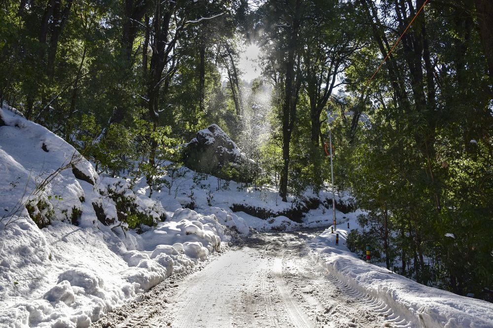 Photograph by Prasanta Roy