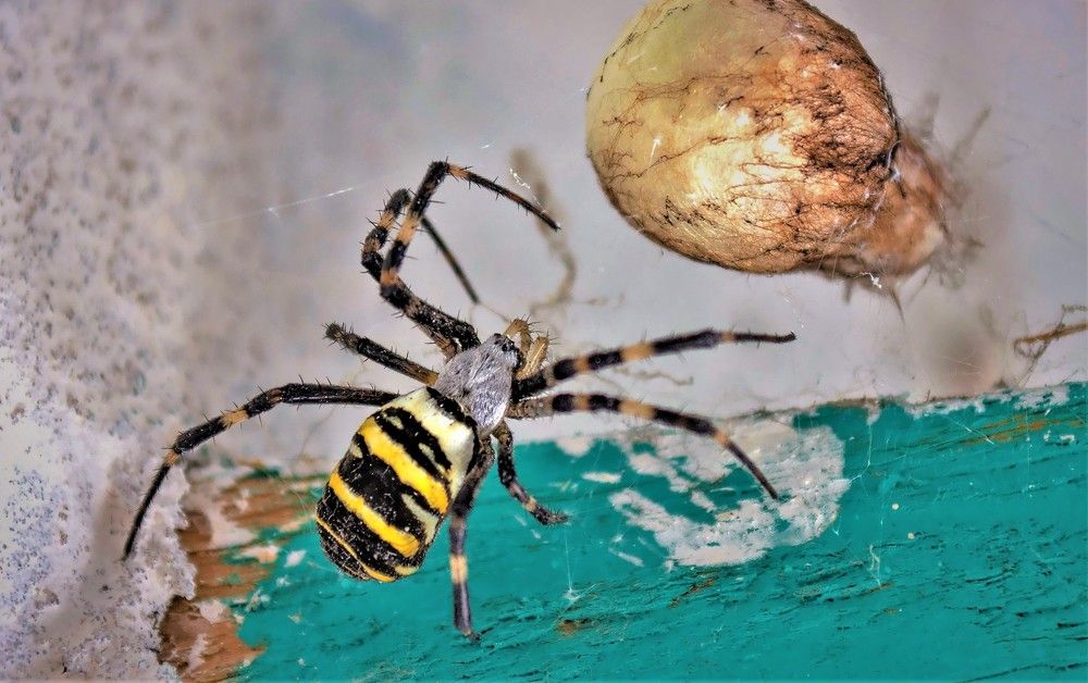 Photograph by Алексей Сиваков