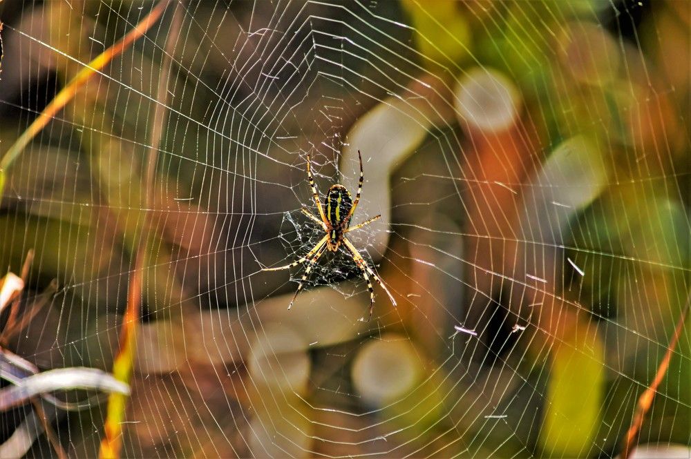 Photograph by Алексей Сиваков