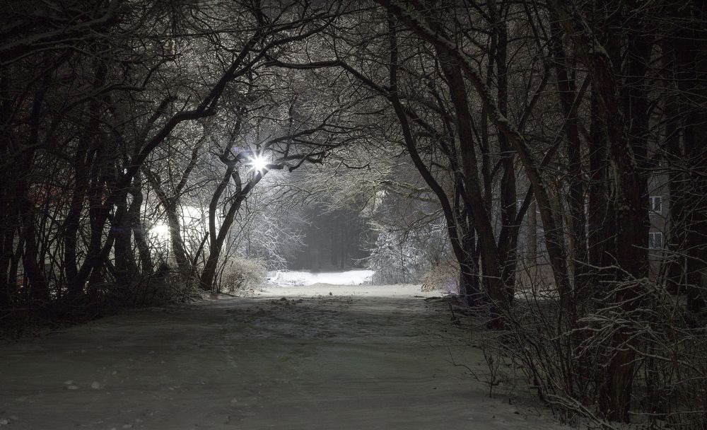 Photograph by Елена Хвойнова