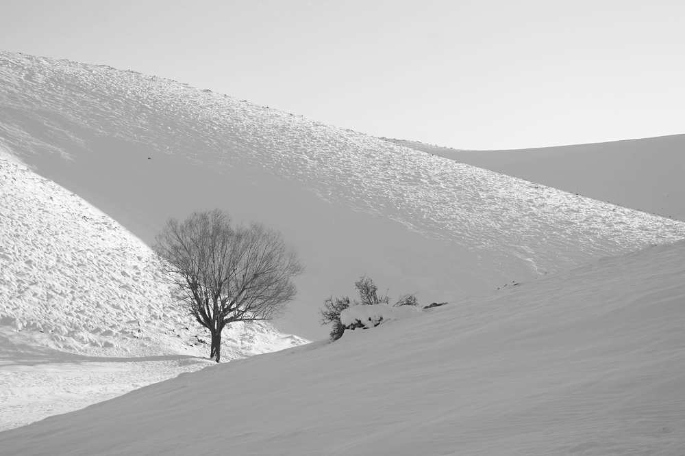 Photograph by Babak Zeraati