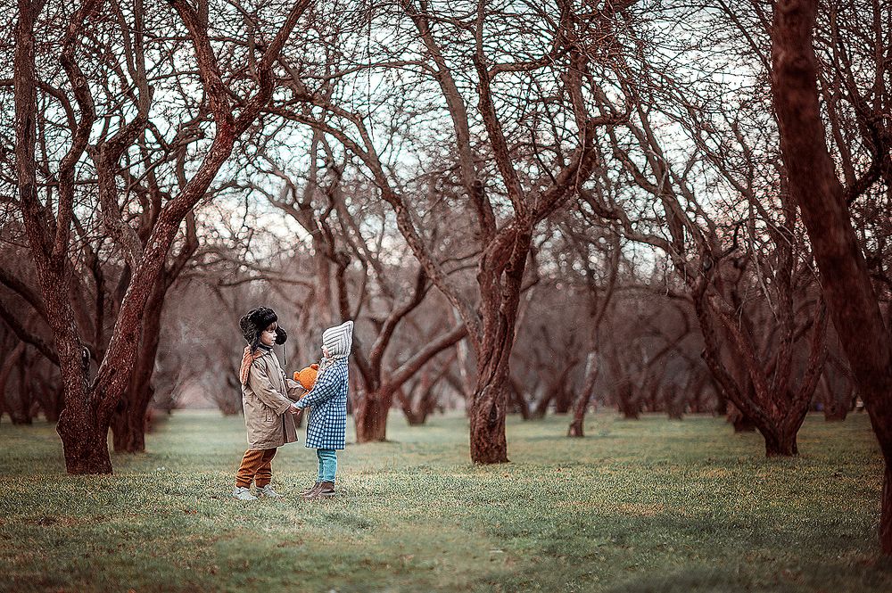 Photograph by Евгения Соколова