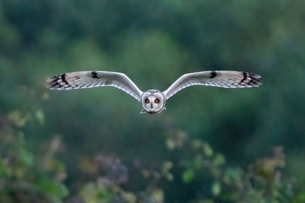 Photograph by Norberto Esteves