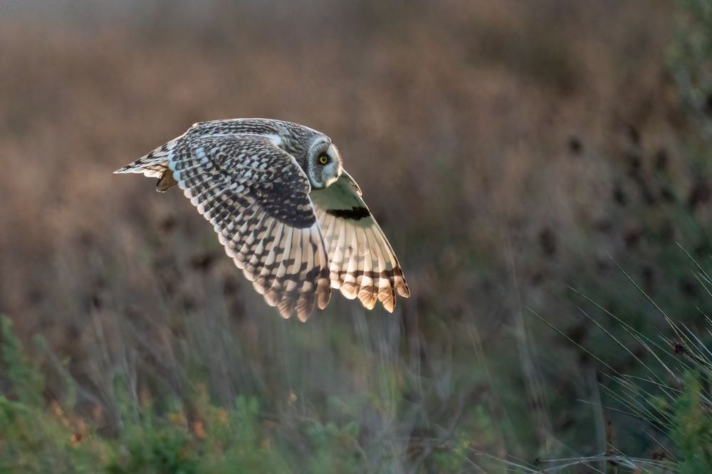 Photograph by Norberto Esteves