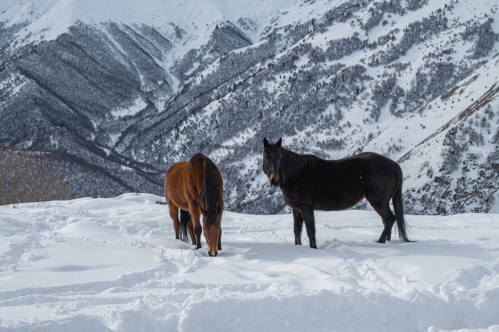 Фотография автора Оксана Белозерская