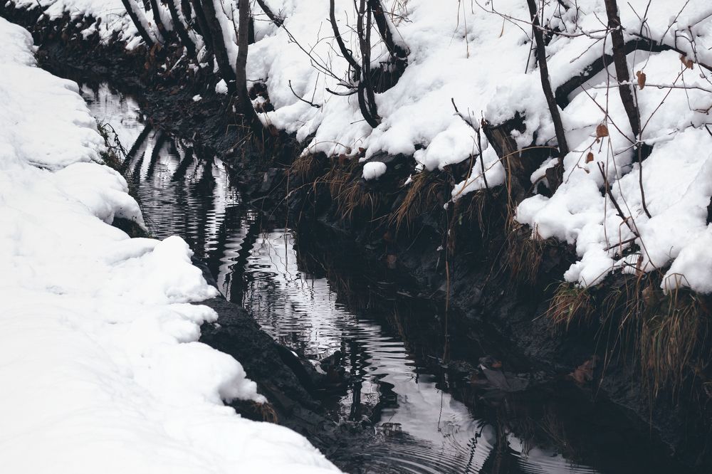 Photograph by Mahdi Bafande