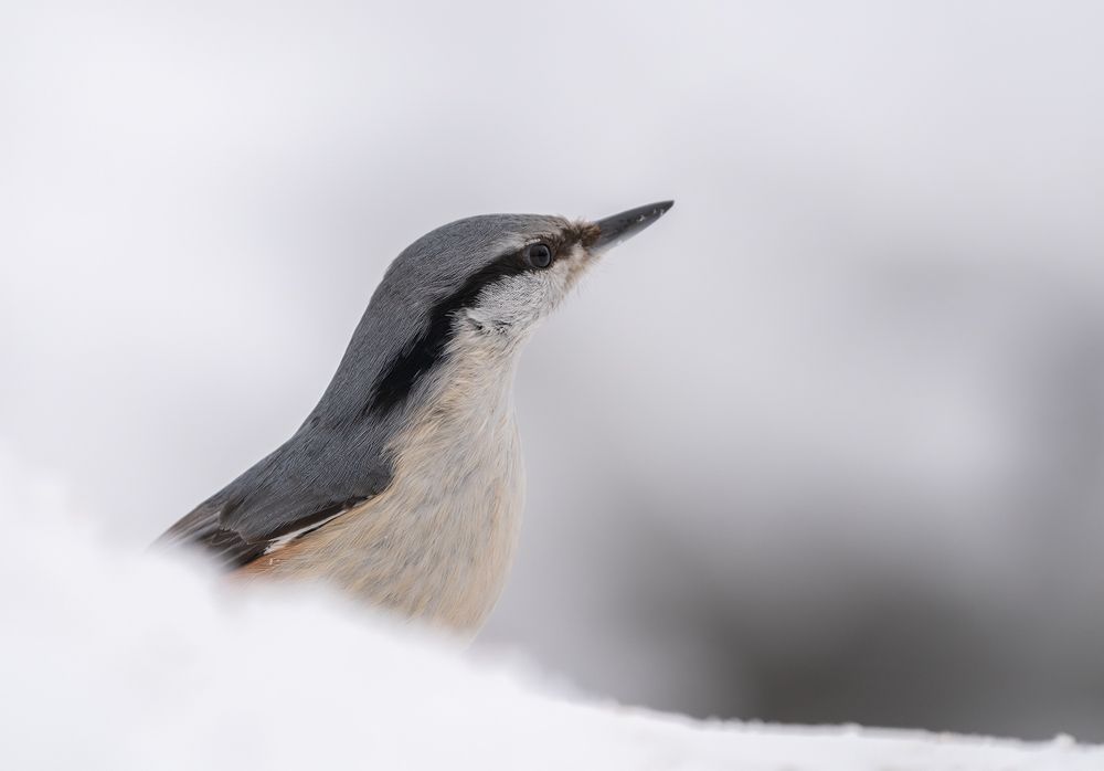 Photograph by Игорь Кляхин