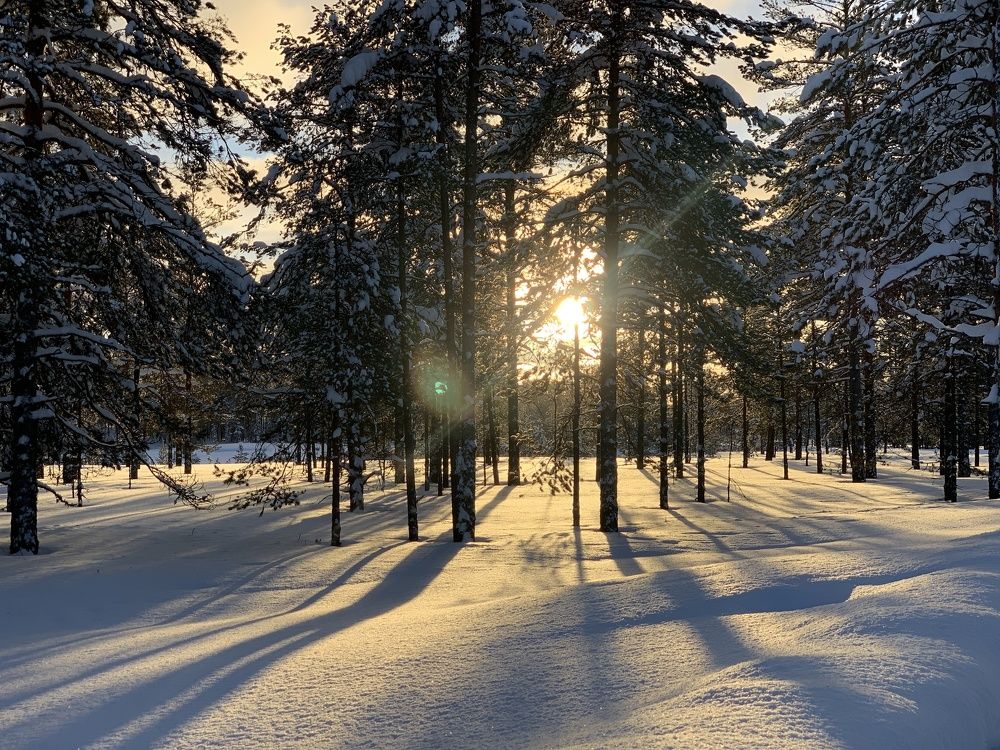 Photograph by Анастасия Авдеева
