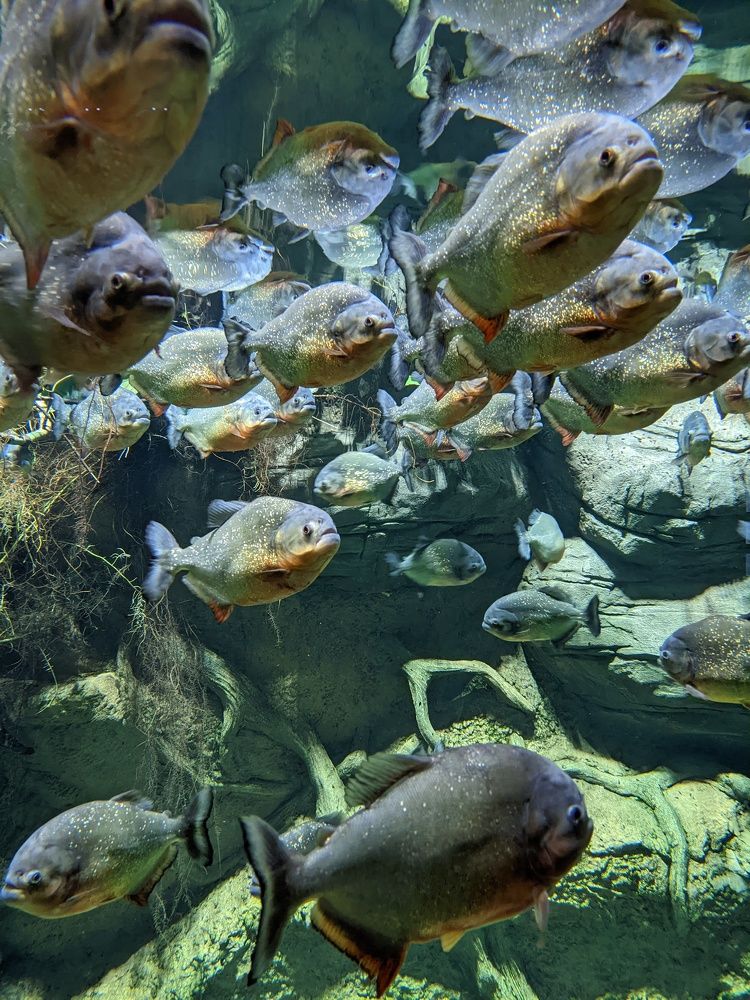 Photograph by Nikita Revako