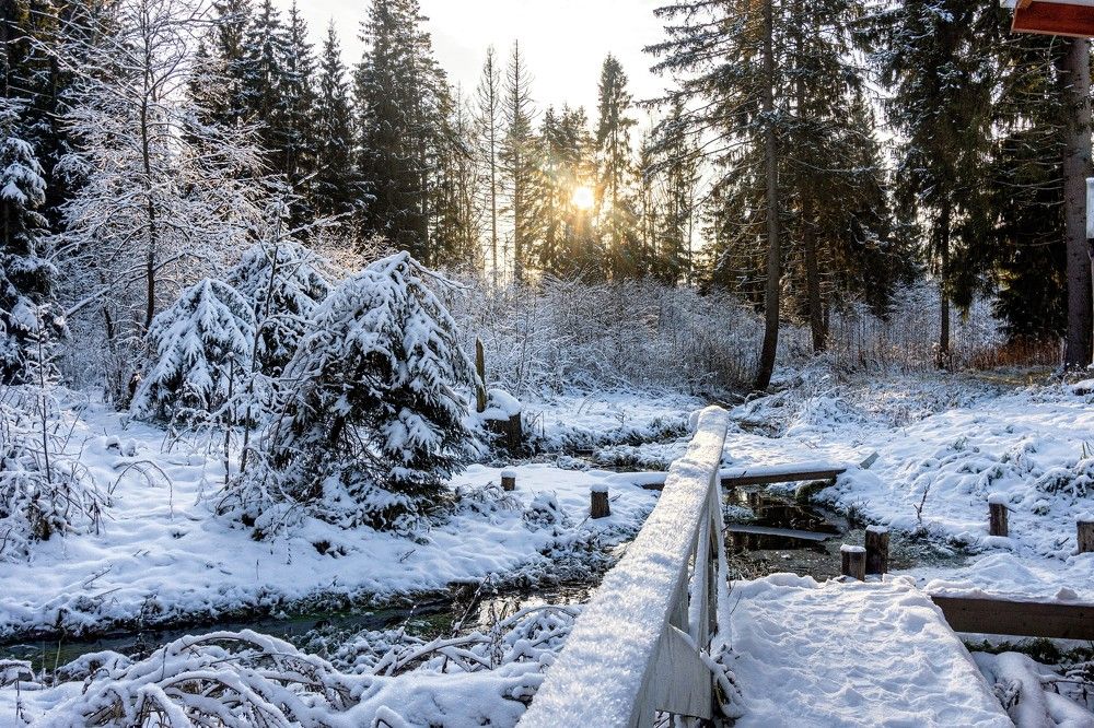 Photograph by Людмила Финкель