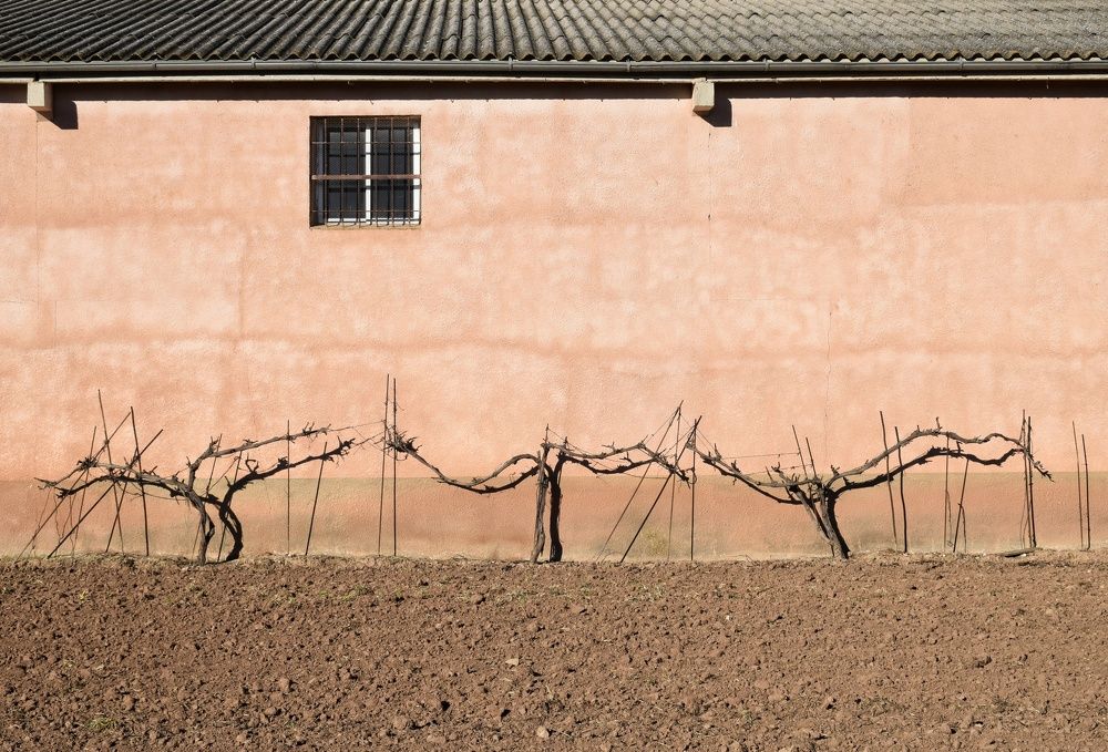 Photograph by José Ramón Domínguez