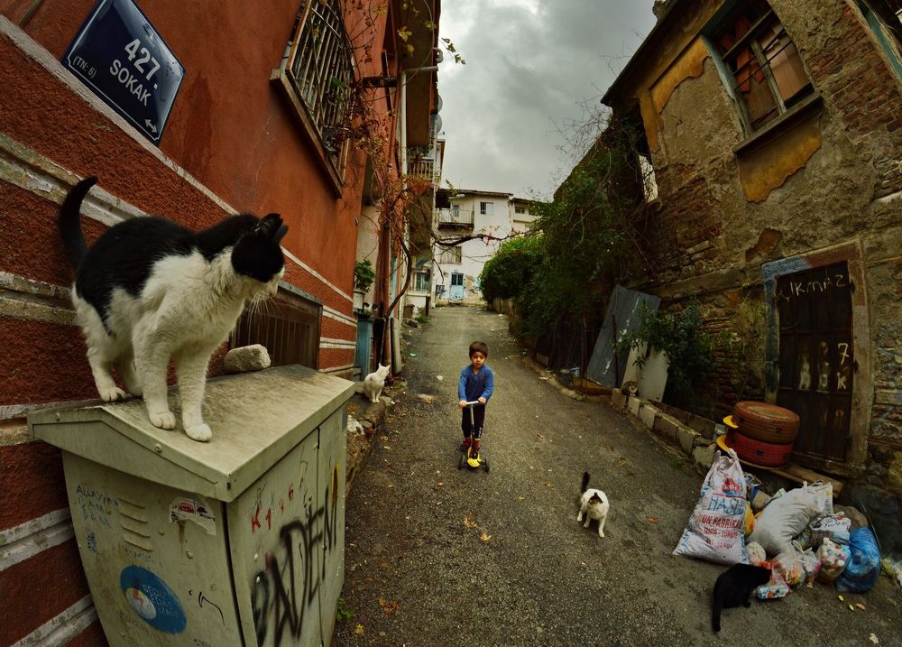 Photograph by Süleyman Ülker