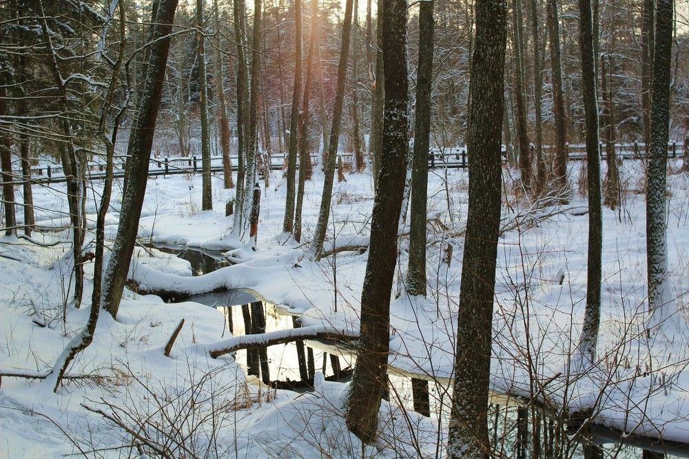 Photograph by Марина Иванникова