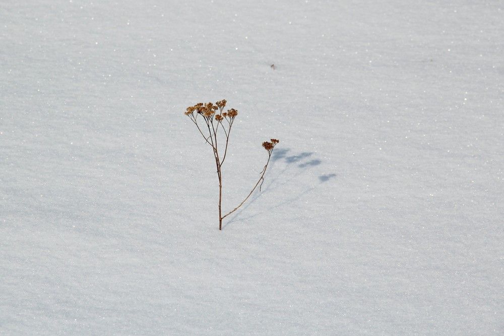 Photograph by Марина Иванникова