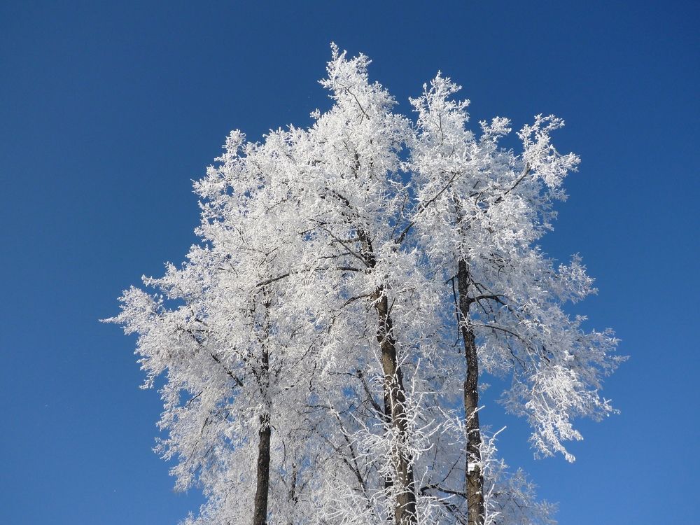Photograph by Марина Иванникова