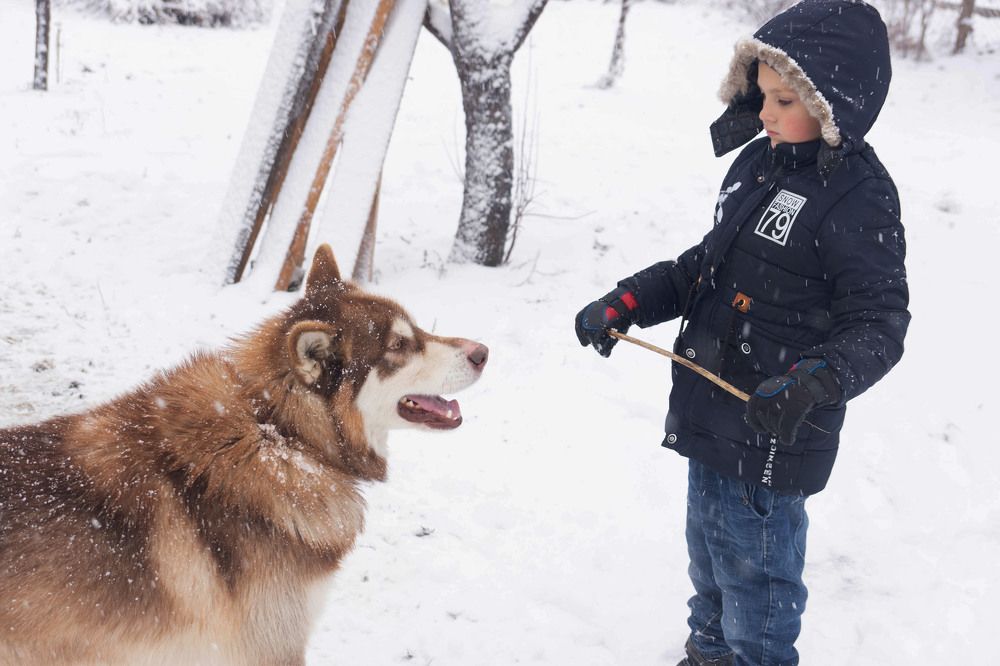 Будем играть