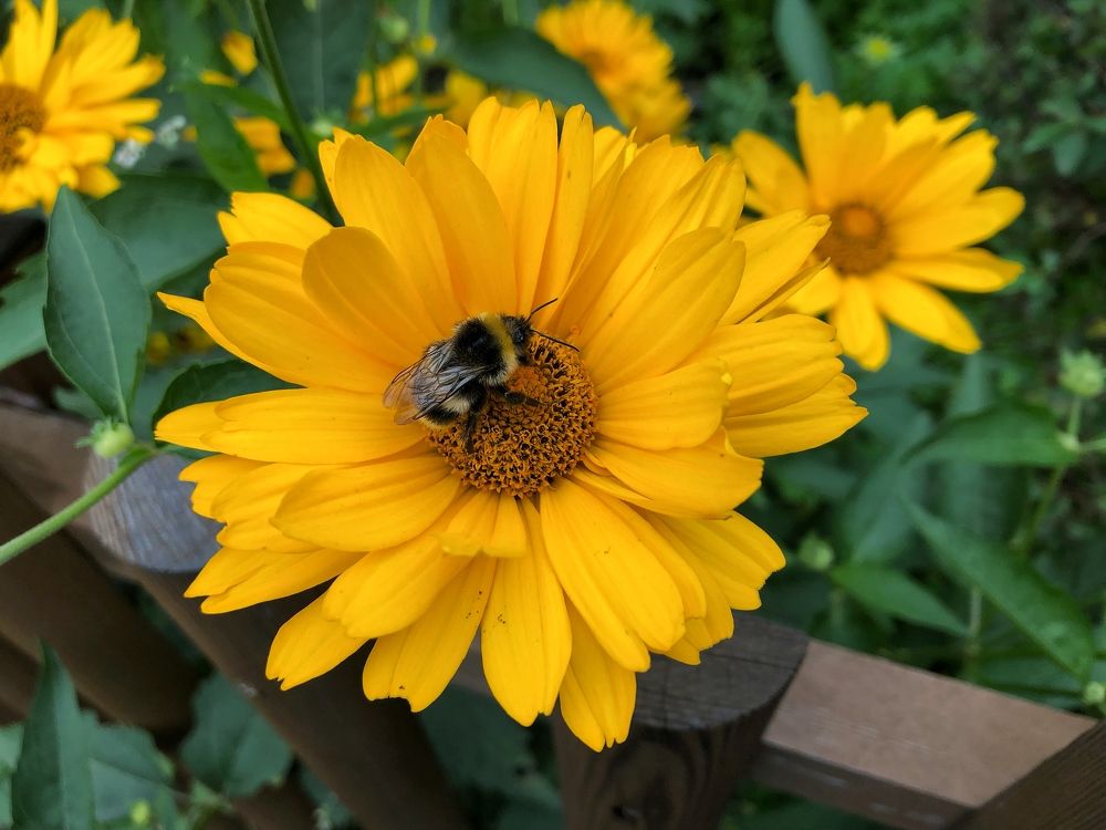 Photograph by Римма Большакова