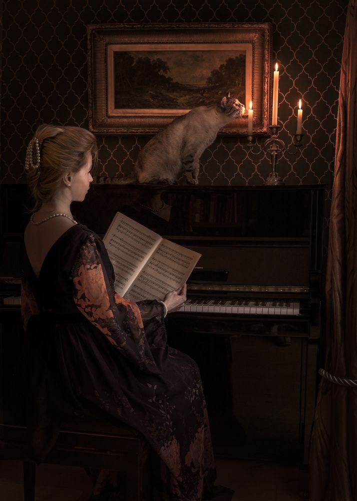 Musical evenings with cats and candles