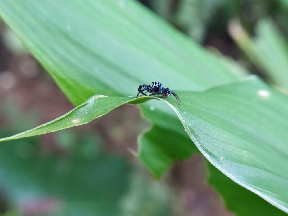 Photograph by HariKrishnan ms