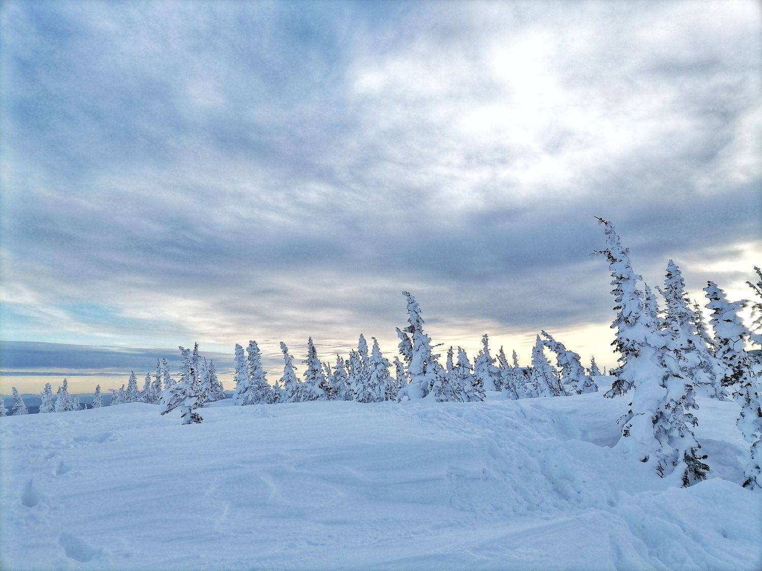 Photo #7122847