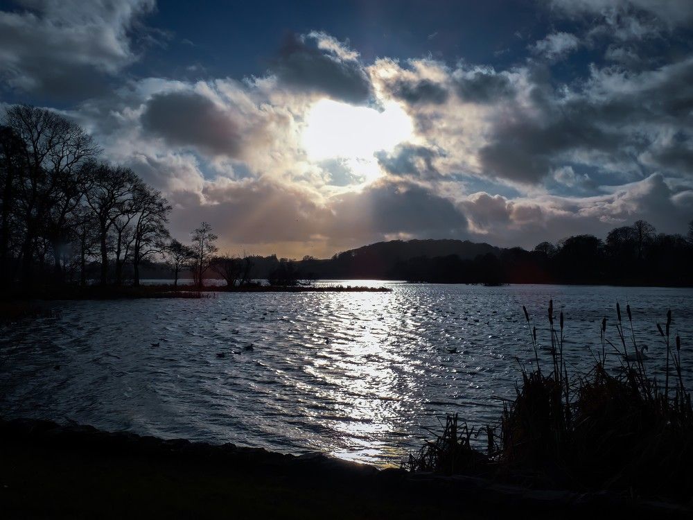 Фотография автора Michael Gault