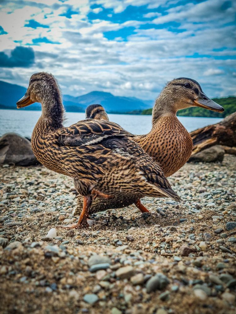 Photograph by Lynne Hunter