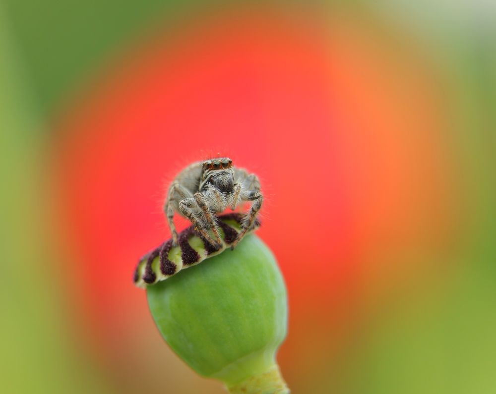 Photograph by Александр Шаварёв