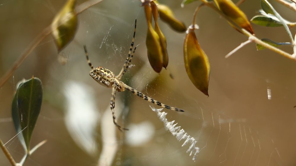 Photograph by Александр Шаварёв