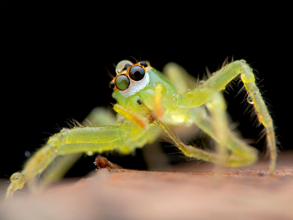 Photograph by Alstein Lai