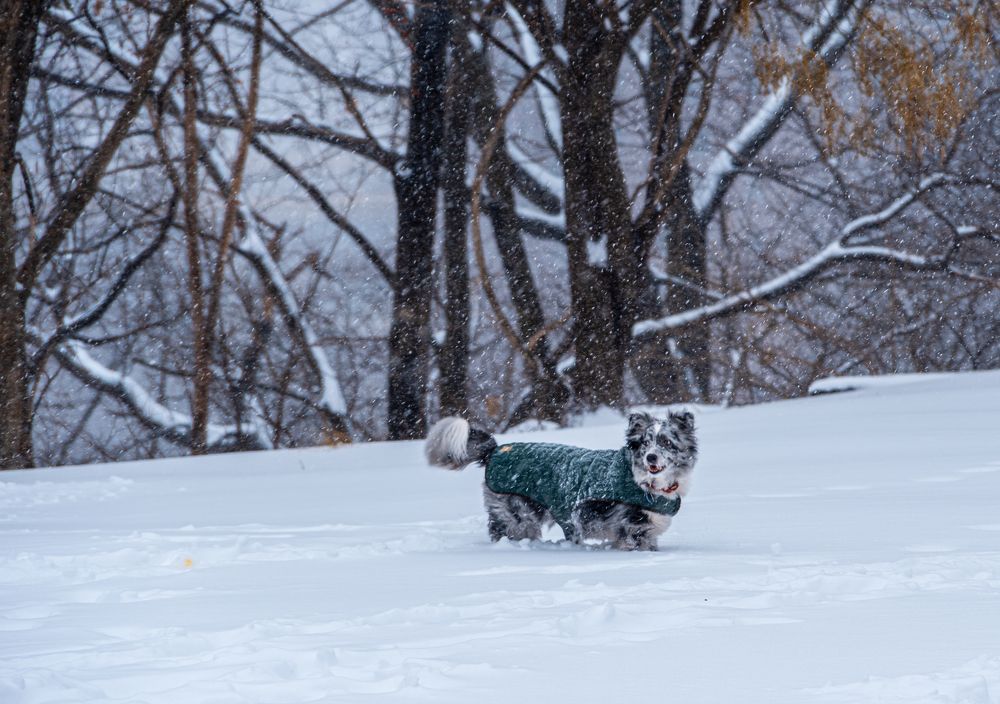 Фотография автора eric fonseca