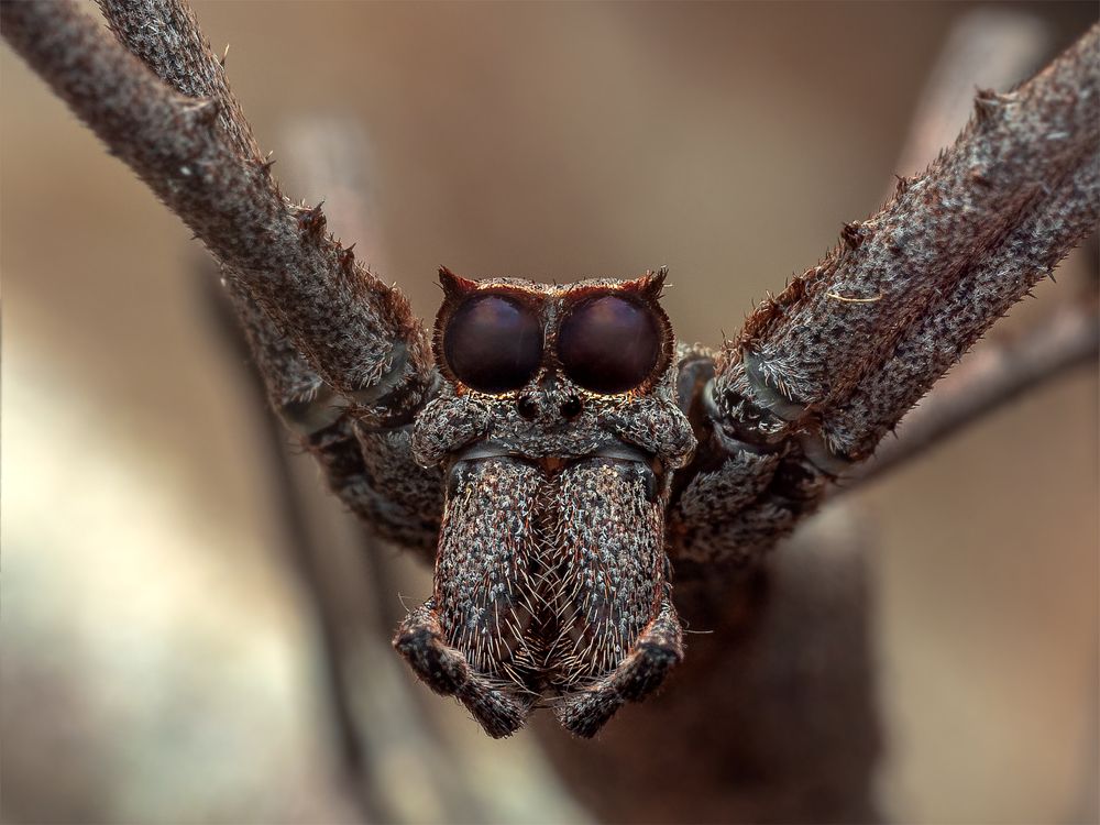 Photograph by Alstein Lai