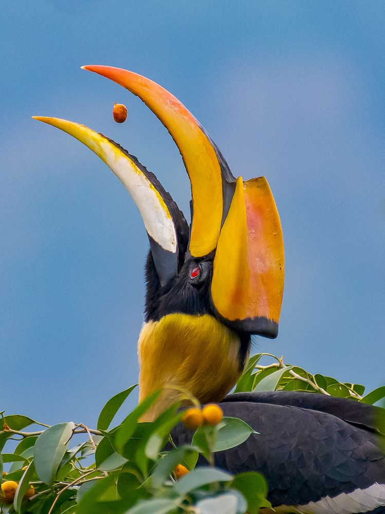 Фотография автора Grace Rani