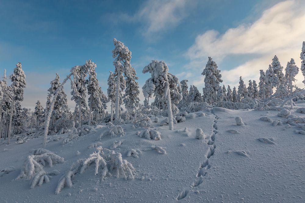 Photograph by Зарышнюк Роман