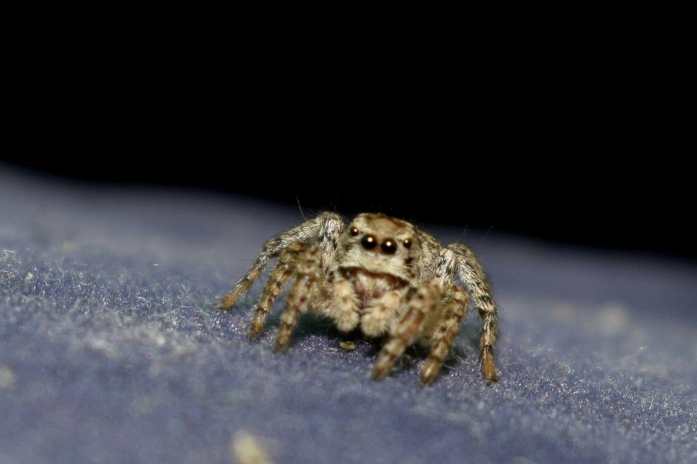 Photograph by Алена Бржезицкая