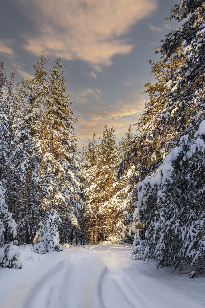 Photograph by Валерий Шорохов