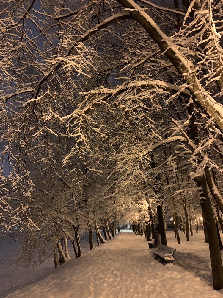 Photograph by Елена Смирнова