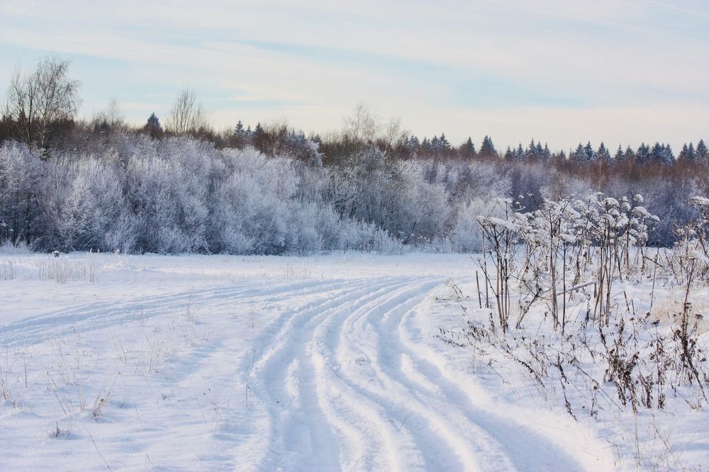Photograph by Елена Смирнова