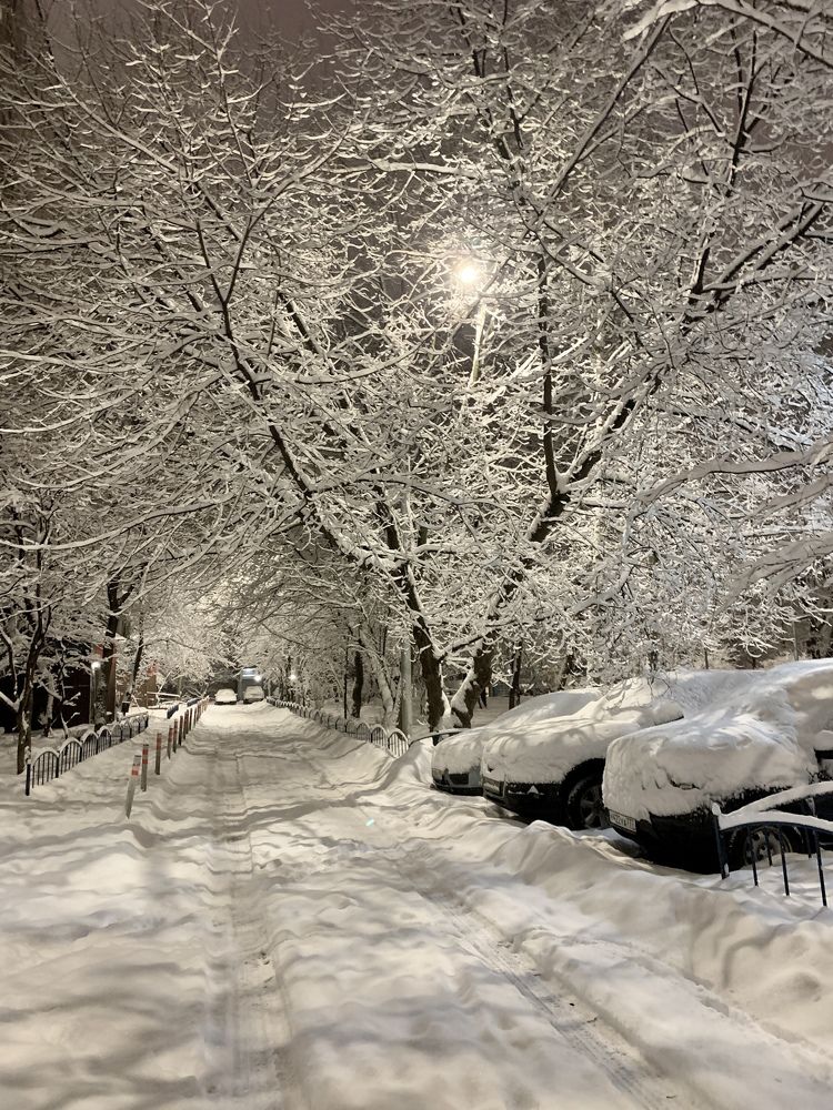 Утро. Снег. Двор.