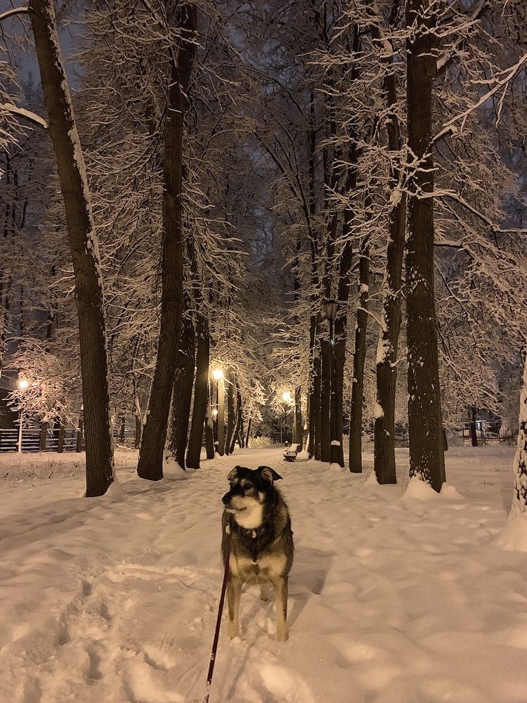 Photograph by Елена Смирнова