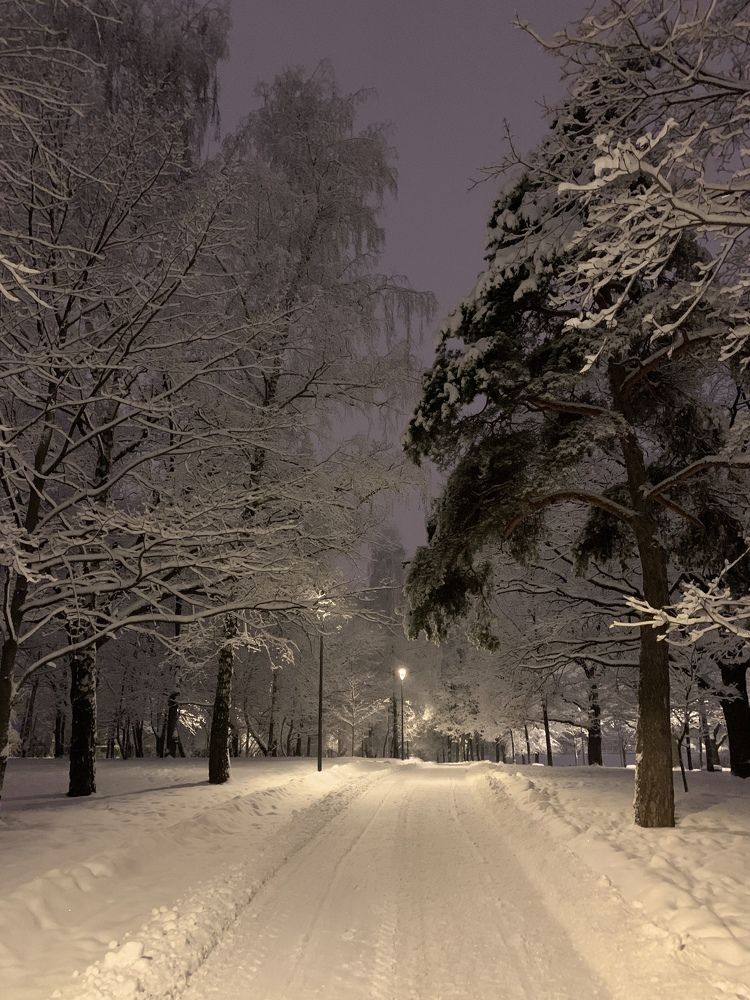 Photograph by Елена Смирнова