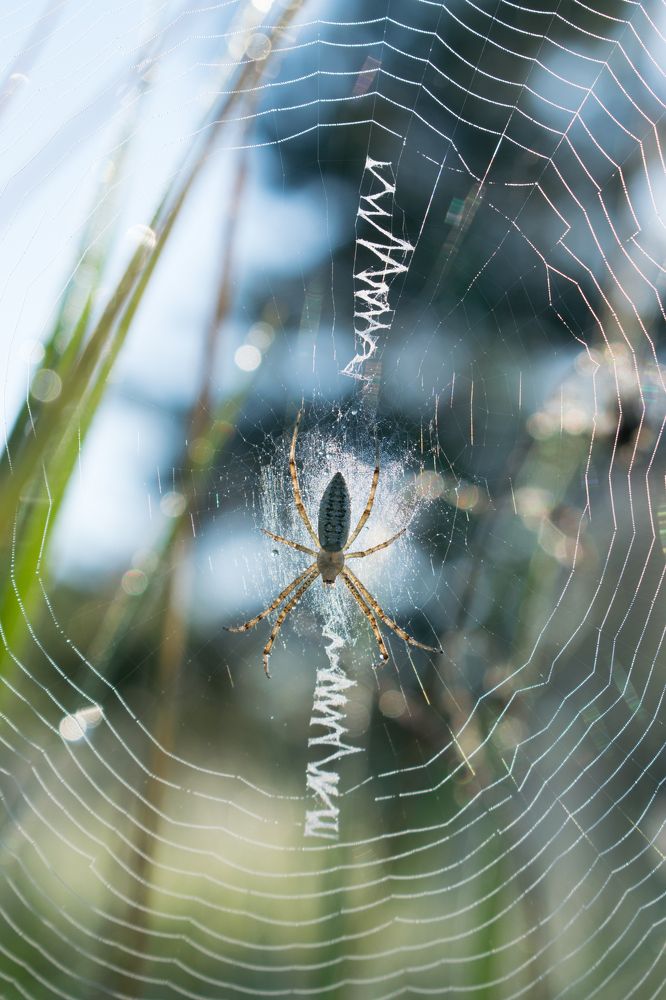 Photograph by Алена Бржезицкая