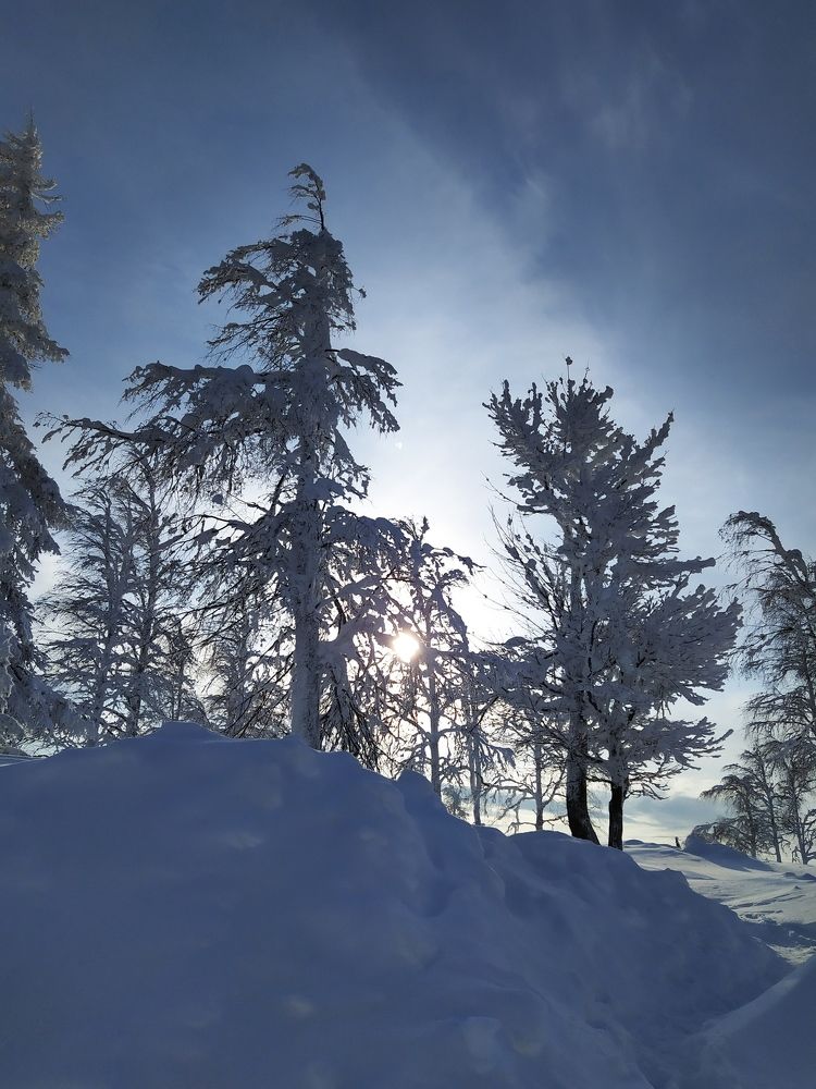 Photograph by Надежда