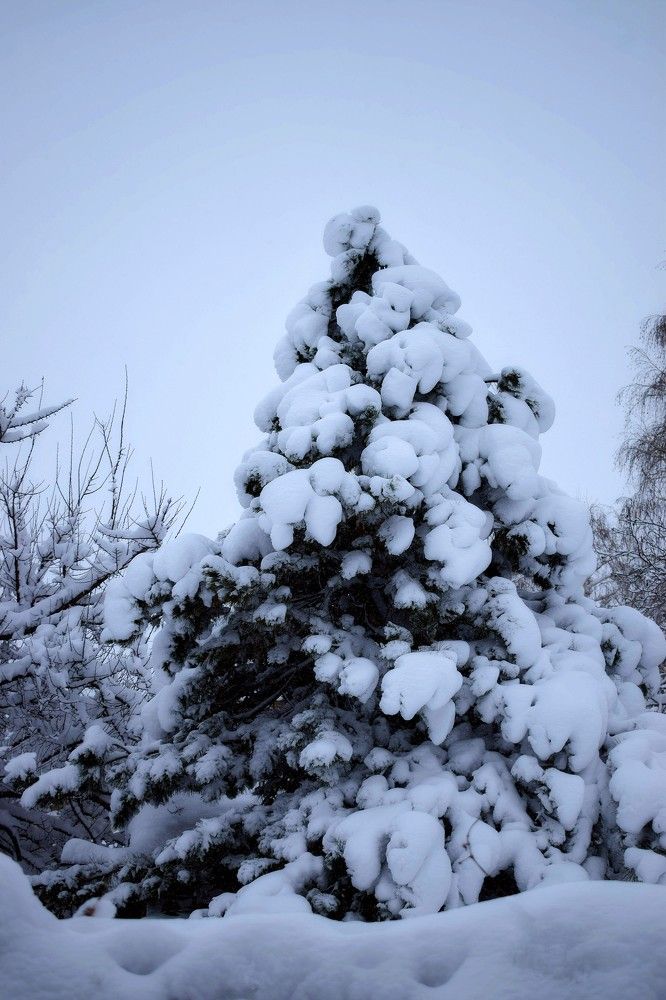 Photograph by Алена Бржезицкая