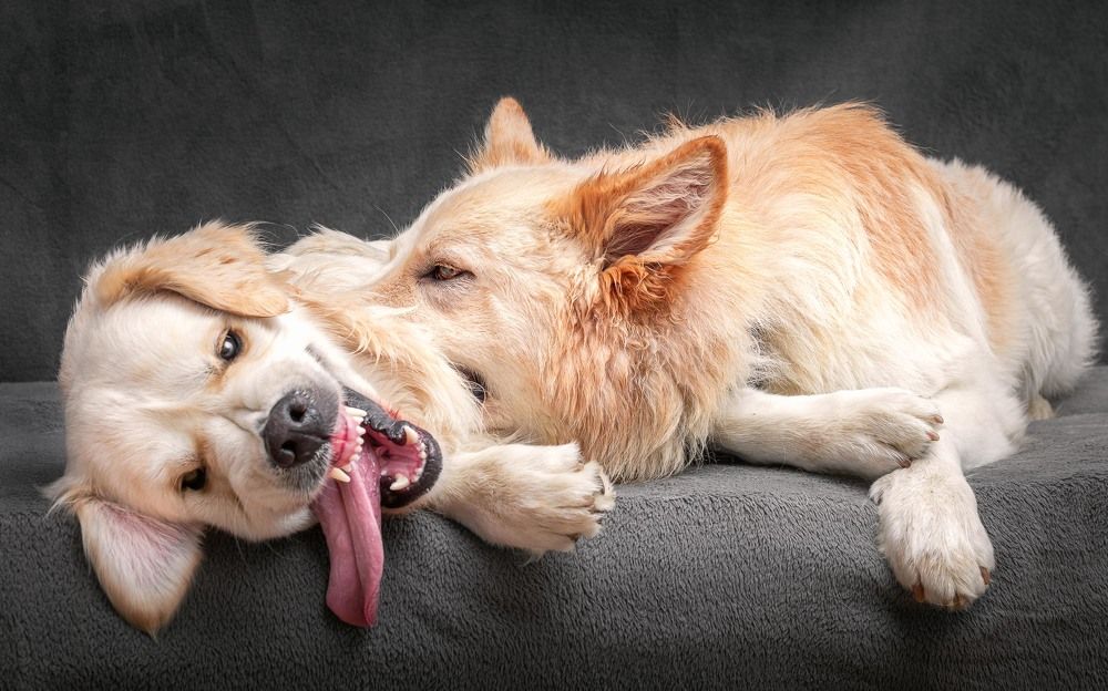 Love and hate relationship