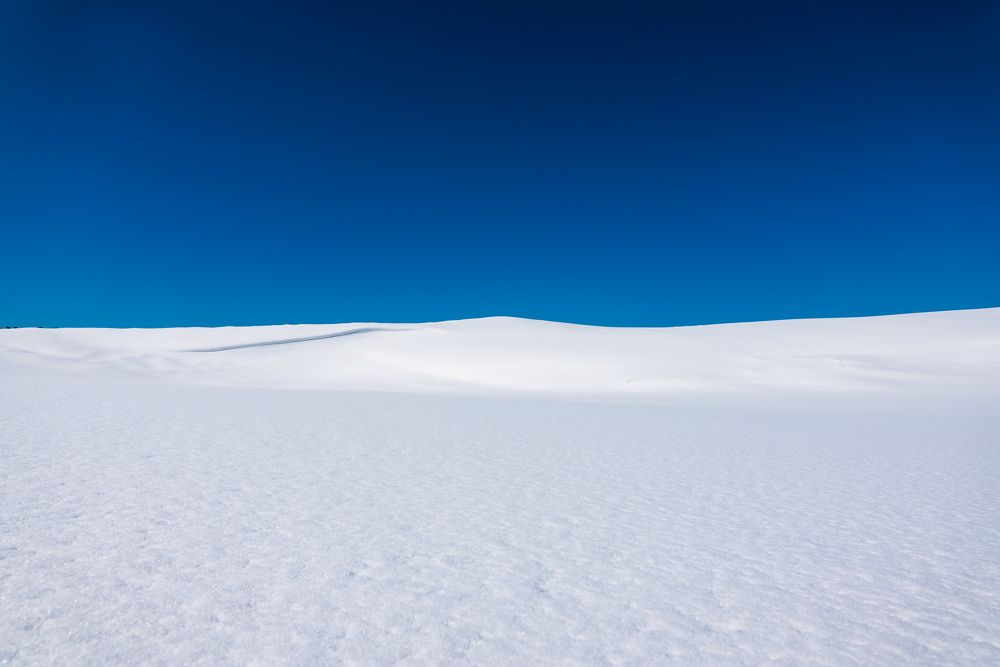 Photograph by Hiroike Masahiro