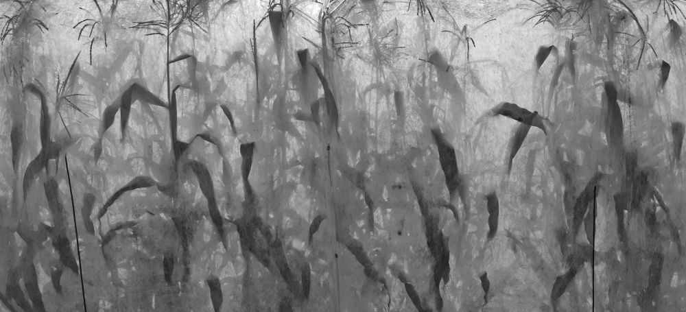 Дети кукурузы. (Children of the Corn))