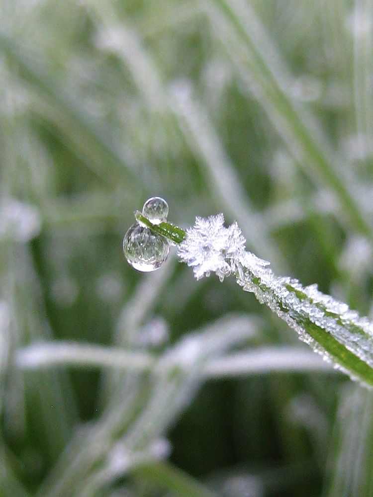 Photograph by Елена Смирнова