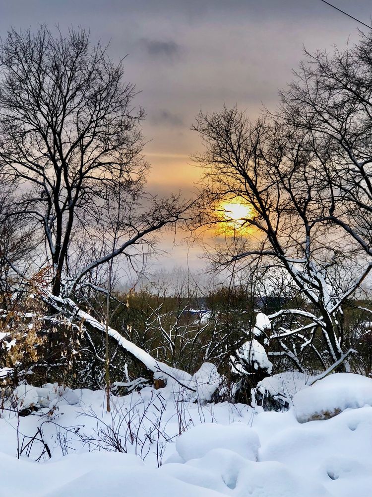 Photograph by Елена