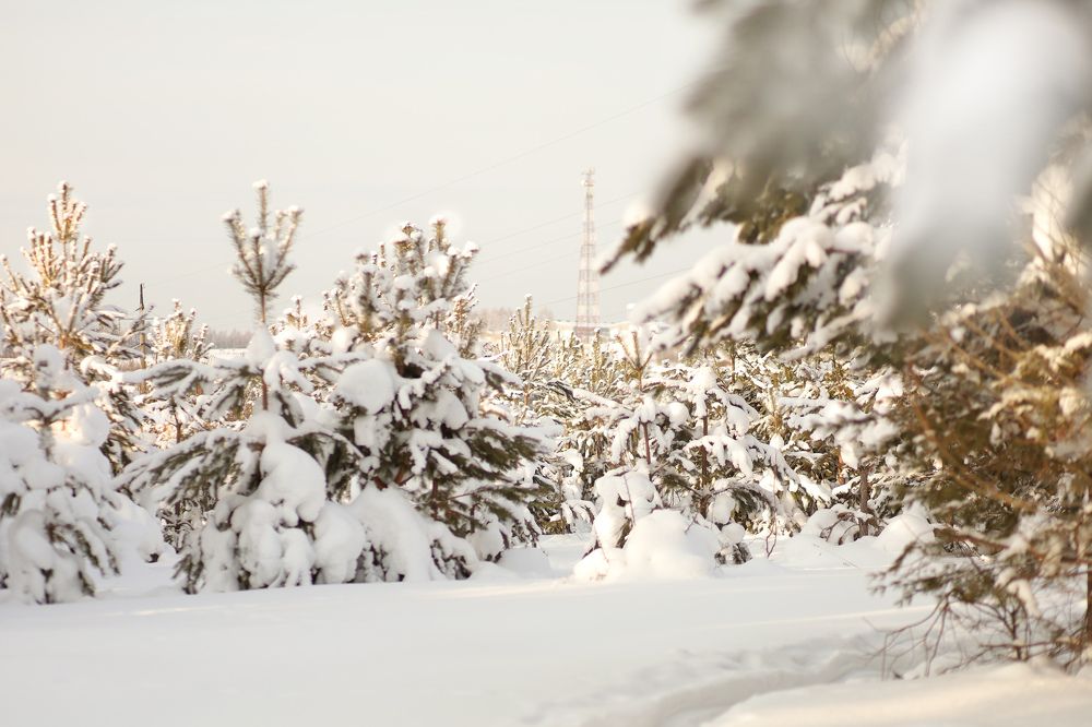 Фотография автора Надежда Саблина